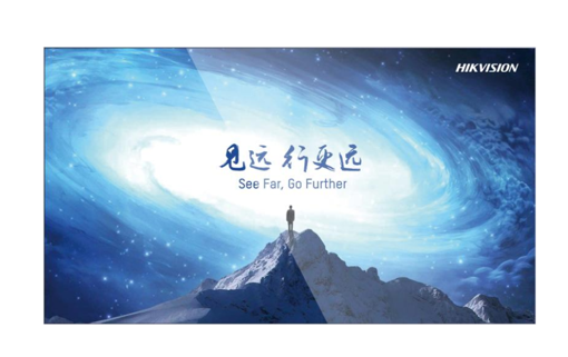 Picture of DS-D2065LU-Y